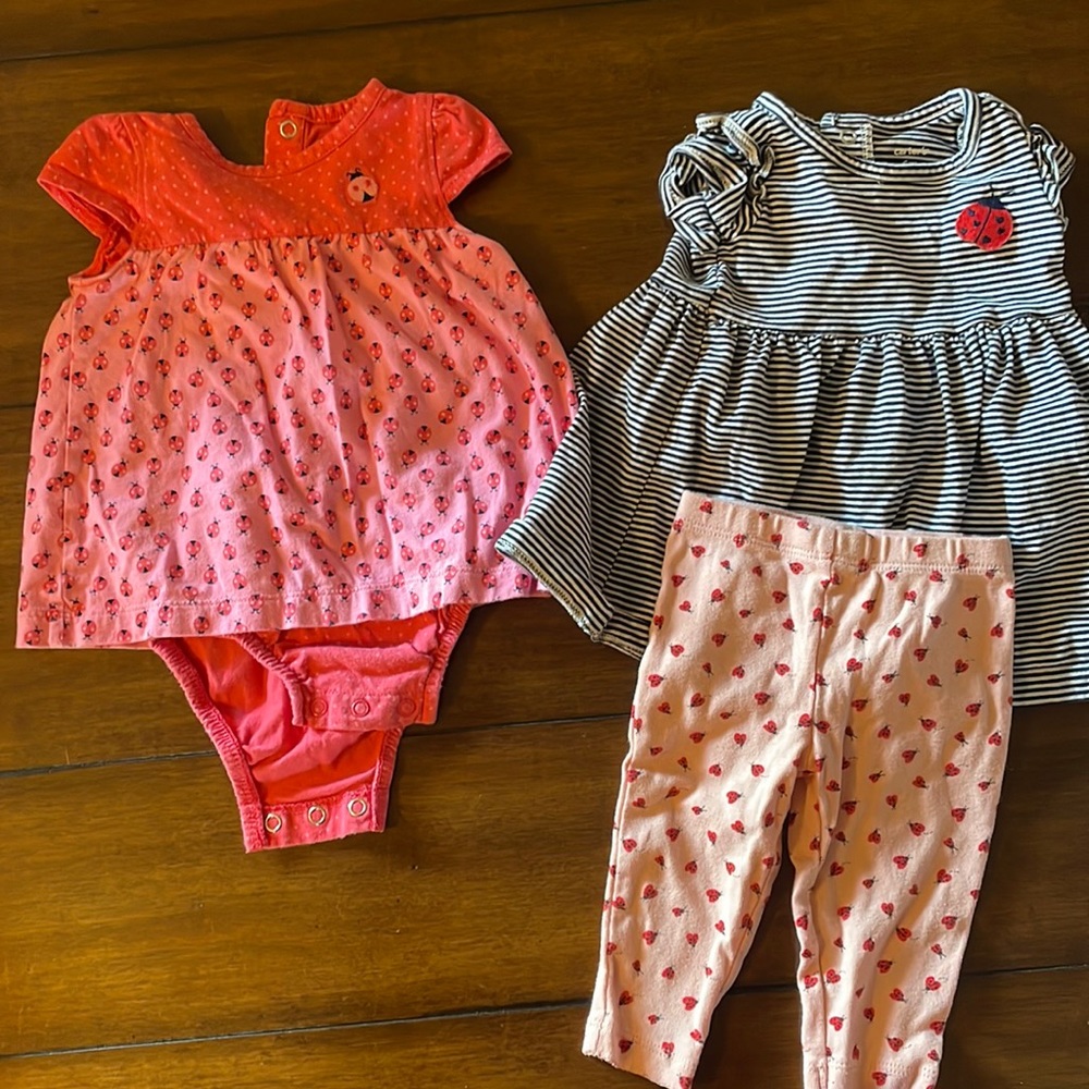 Ladybug lot